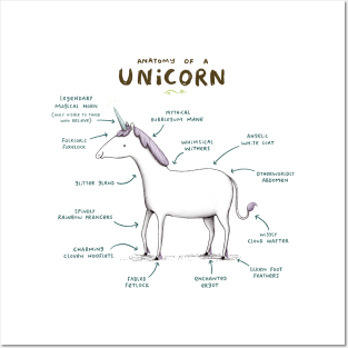 Anatomy of a Unicorn Posters and Art